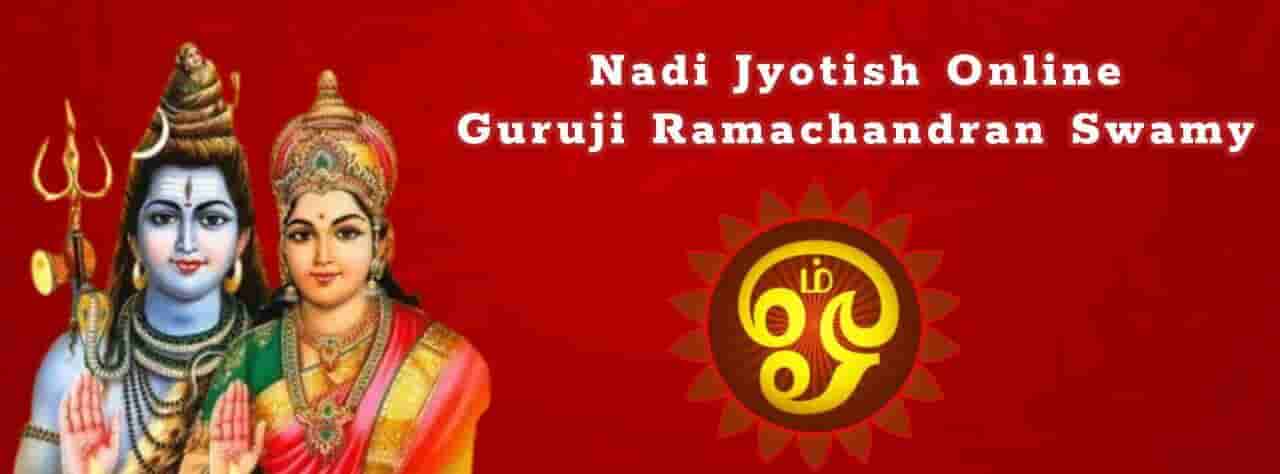 nadi jyotish online