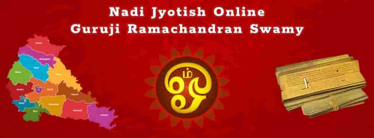 nadi jyotish online